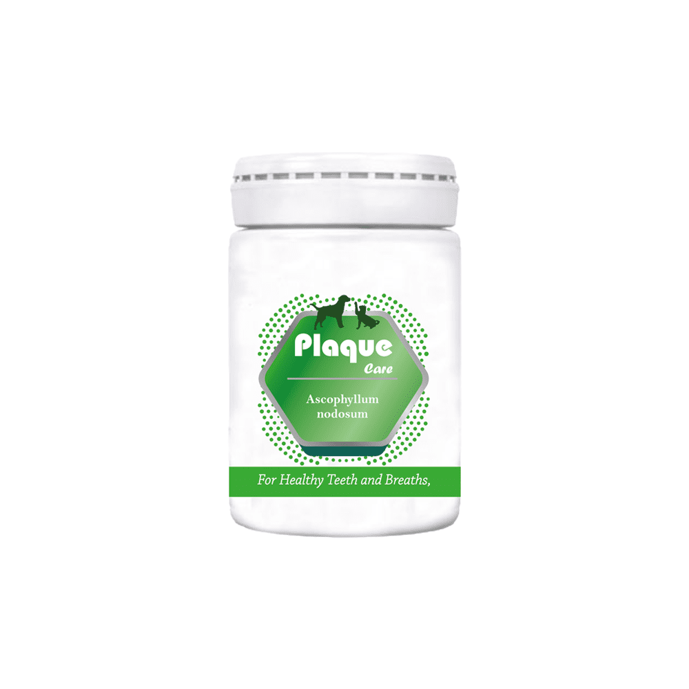 Plaque Care Diş TemizleyiciToz 50gr
